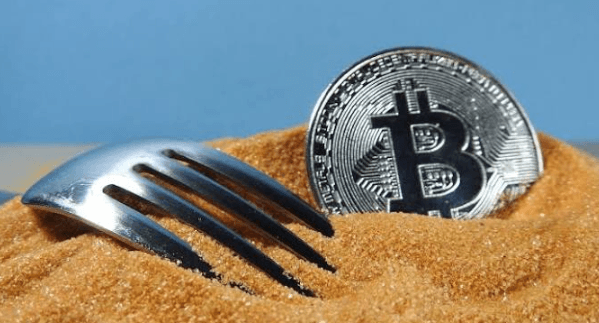 What Is a Crypto Fork?